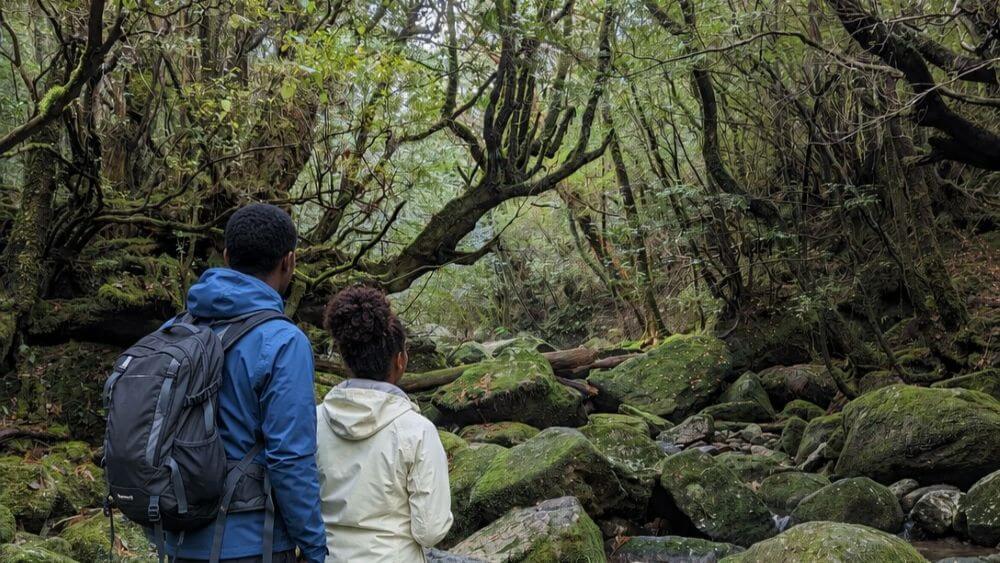 白谷雲水峡1日ツアーで、美しい苔の沢を並んで見つめる親子の微笑ましい様子