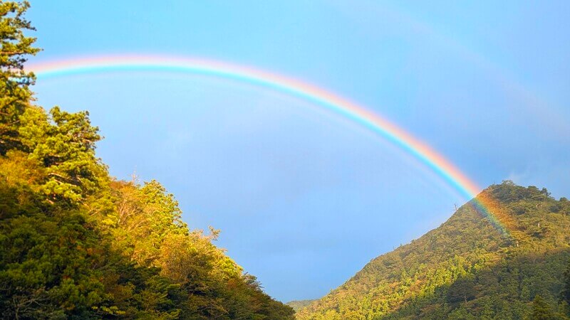 雨上がりの屋久島の空に現れた美しい虹。お客様の無事と安全を最優先に考えた、当ガイドの安心のツアーキャンセル規定を象徴する風景。